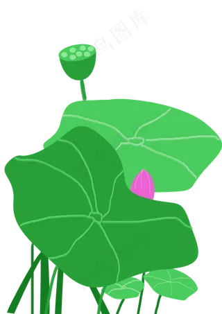夏至池塘荷叶手绘PNG素材