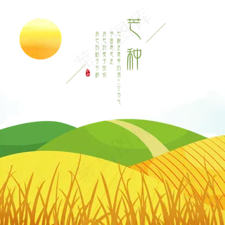 芒种二十四节气绿色山坡