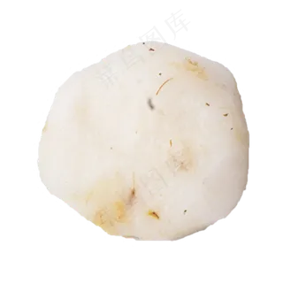 马蹄（png免抠）