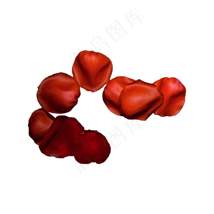 玫瑰花瓣实拍（png免抠）(2000X2000(DPI:72))psd模版下载