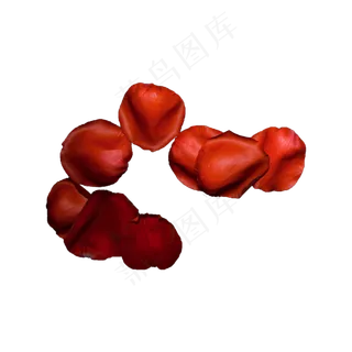 玫瑰花瓣实拍（png免抠）