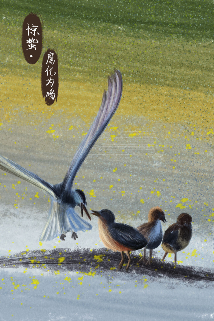 惊蛰节气三候鹰化为鸠(3545X5315(DPI:300))psd模版下载