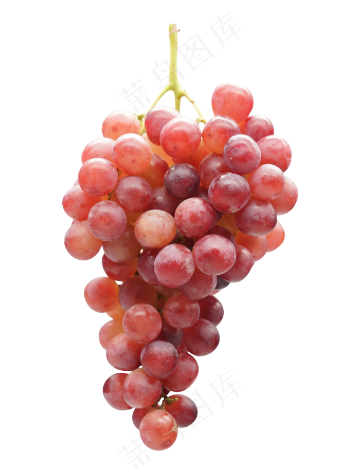 红色水果葡萄提子,免抠元素