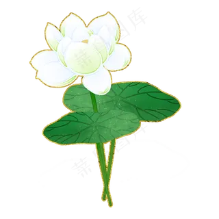 白玉荷花中国风花卉PNG素材