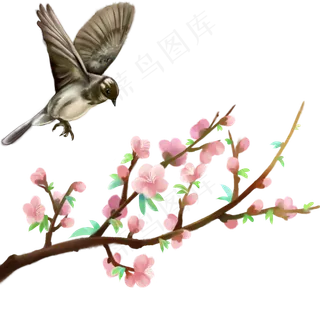 迎新年桃花报喜鸟登枝中国风手绘,免抠元素