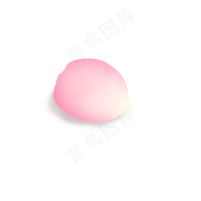 单片粉色玫瑰花瓣PNG(2000X2000(DPI:300))psd模版下载