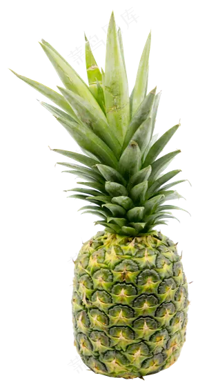 凤梨水果