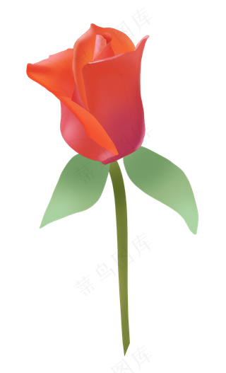 节日浪漫玫瑰花朵