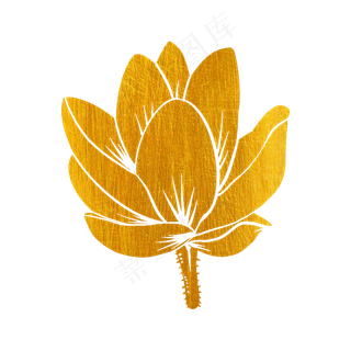 剪纸烫金花草荷花