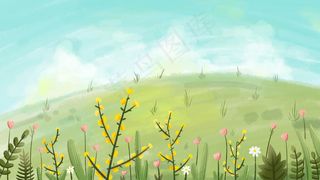 夏天山坡上的花朵