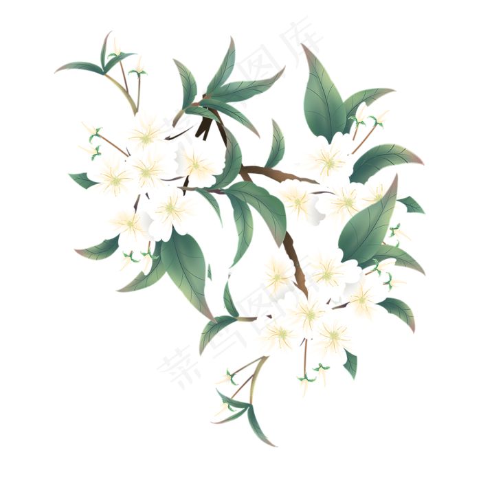 中国风传统工笔梨花,免抠元素