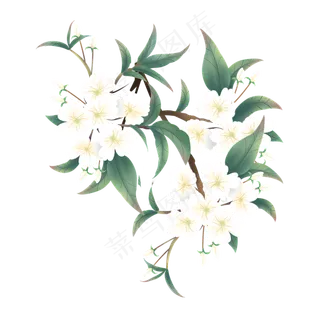 中国风传统工笔梨花,免抠元素