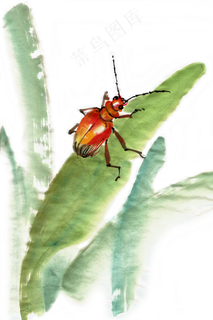 昆虫水墨画PNG免抠素材