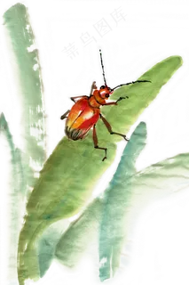 昆虫水墨画PNG免抠素材 昆虫水墨画PNG免抠素材