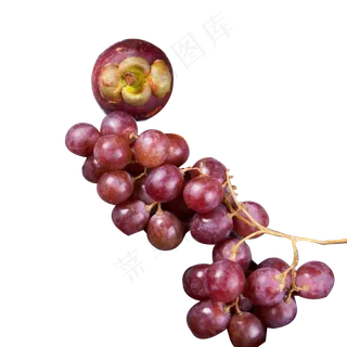 红色葡萄和山竹免抠图