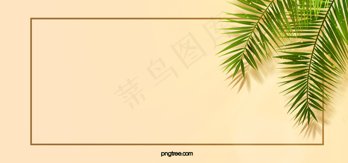 夏季创意质感植物背景