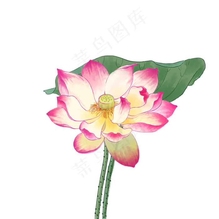 中国风荷花水彩画(2000X2000(DPI:300))psd模版下载