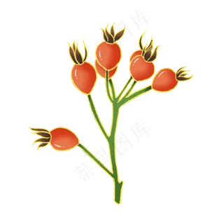 新中式国潮风植物果子