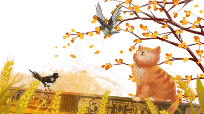 立秋秋风秋天秋季黄色丰收猫与喜,免抠元素(2880*1620px 300 dpi )