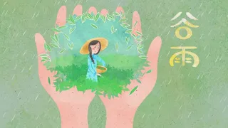 绿色谷雨采茶姑娘