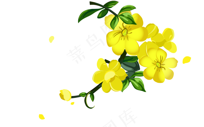 迎春花矢量素材下载,免抠元素
