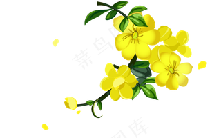 迎春花矢量素材下载,免抠元素