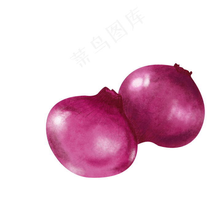 紫色洋葱蔬菜水果果蔬健康天然手