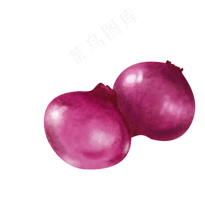 紫色洋葱蔬菜水果果蔬健康天然手(2000X2000(DPI:300))psd模版下载