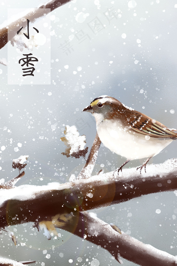 小雪-麻雀-冬天-小鸟(3545X5315(DPI:300))psd模版下载