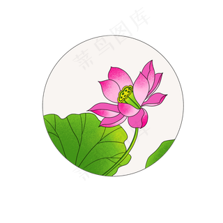 荷花荷叶仿真免扣