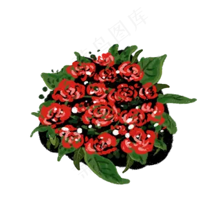 情人节红色花束