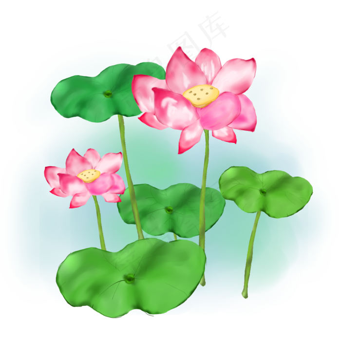 夏日手绘荷花荷叶素材