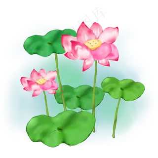 夏日手绘荷花荷叶素材