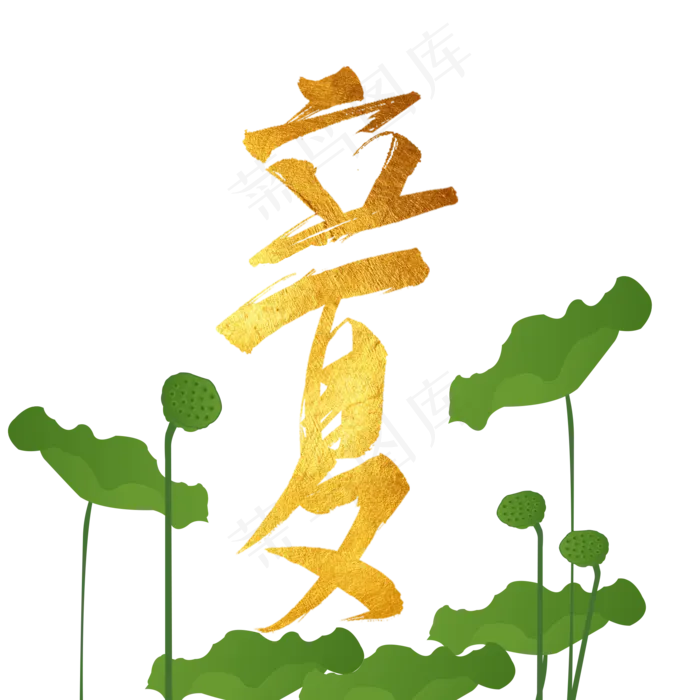 立夏 金色立夏创意字 莲蓬 荷叶