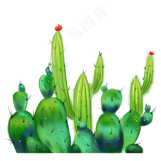 水彩仙人掌边框装饰画