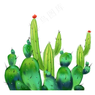 水彩仙人掌边框装饰画