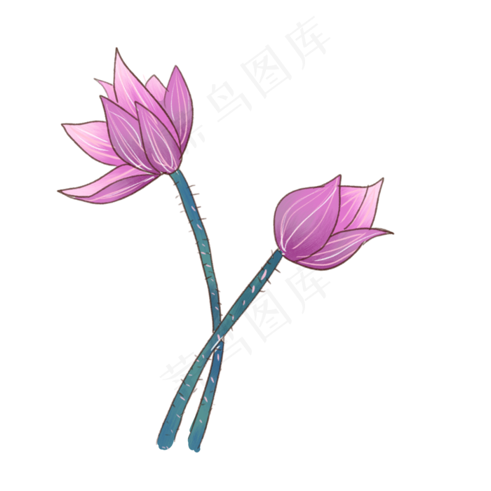 紫色荷花装饰插画