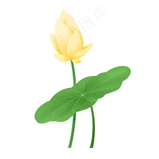 夏日清新植物淡黄色荷花