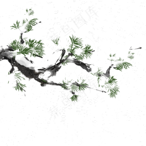 冬天植物水墨风松柏雪,免抠元素