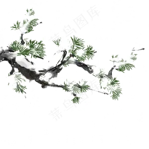 冬天植物水墨风松柏雪,免抠元素