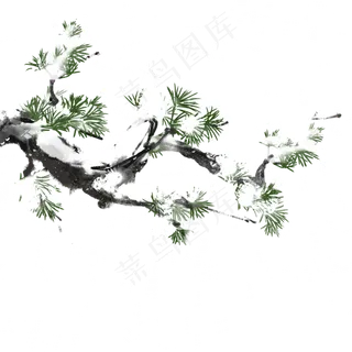 冬天植物水墨风松柏雪,免抠元素