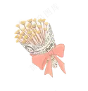 手绘铅笔画风格捧花