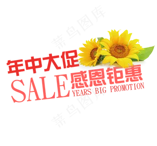 红色年中大促艺术字