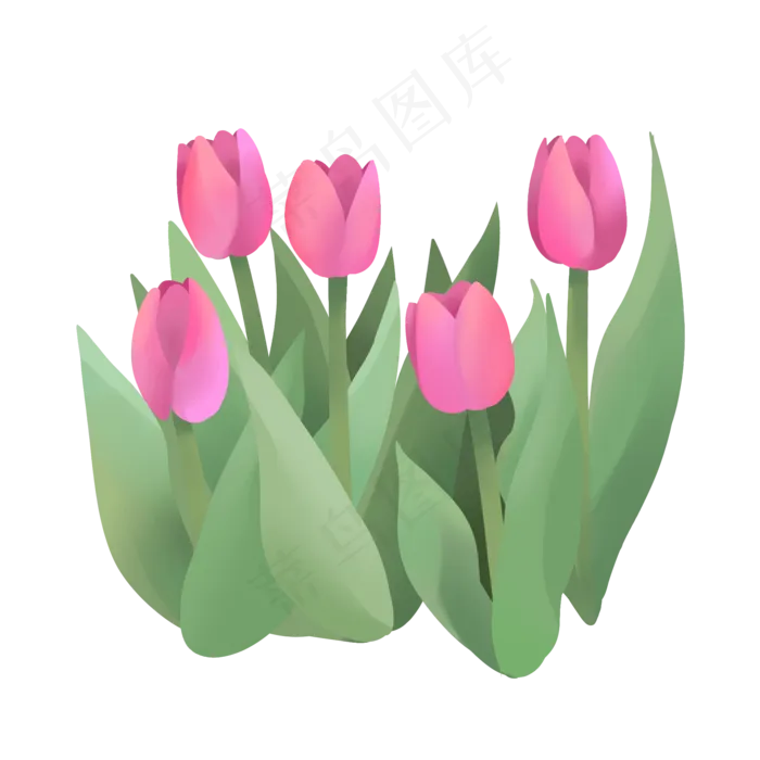 手绘鲜花装饰素材郁金香荷兰花(2000X2000(DPI:300))psd模版下载