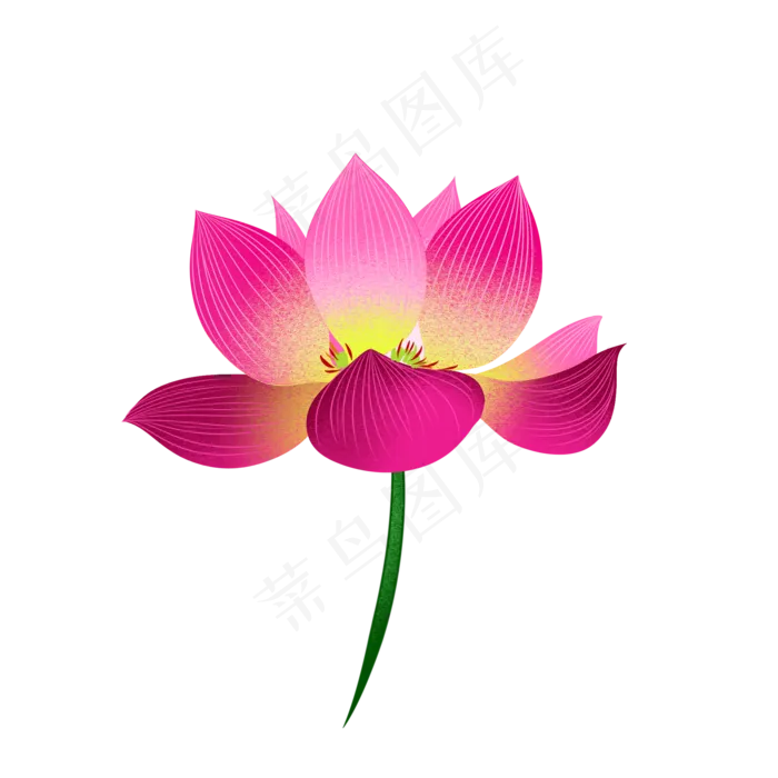花荷花莲花(2000X2000(DPI:299))psd模版下载