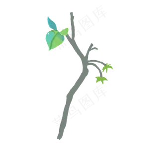 春天发芽的树枝下载