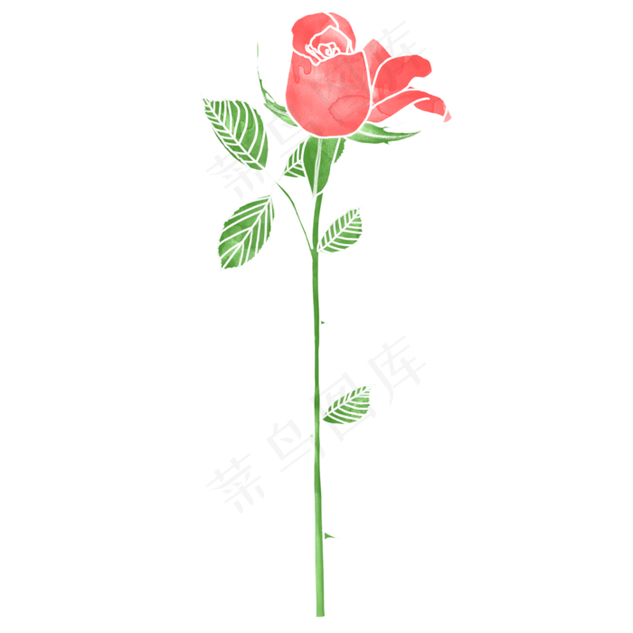 创意色彩玫瑰手绘