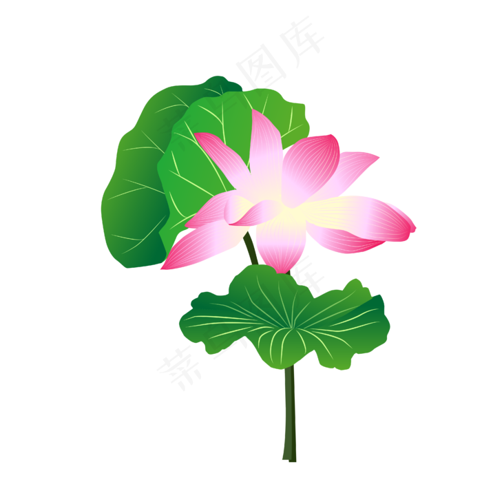 矢量荷叶荷花主题手绘