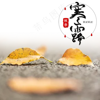 秋季霜降 秋季霜降