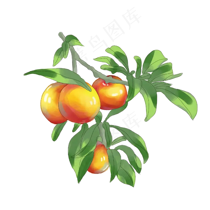 夏天水果黄桃(3000X3000(DPI:300))psd模版下载